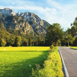 Meet your Posher, Davis